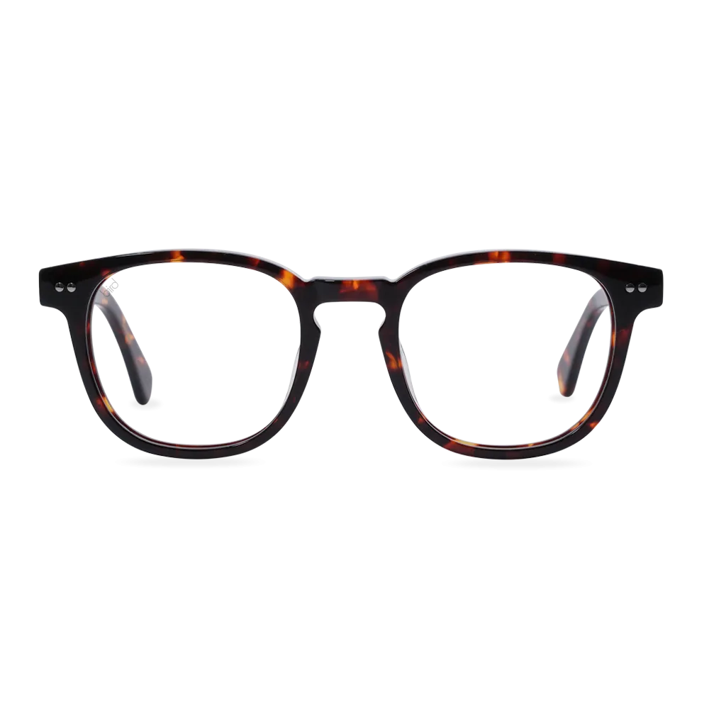 Athene | Tortoiseshell