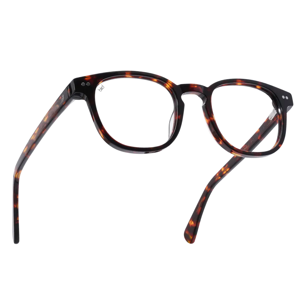 Athene | Tortoiseshell