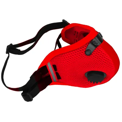 RZ M2.5 MESH MASKS