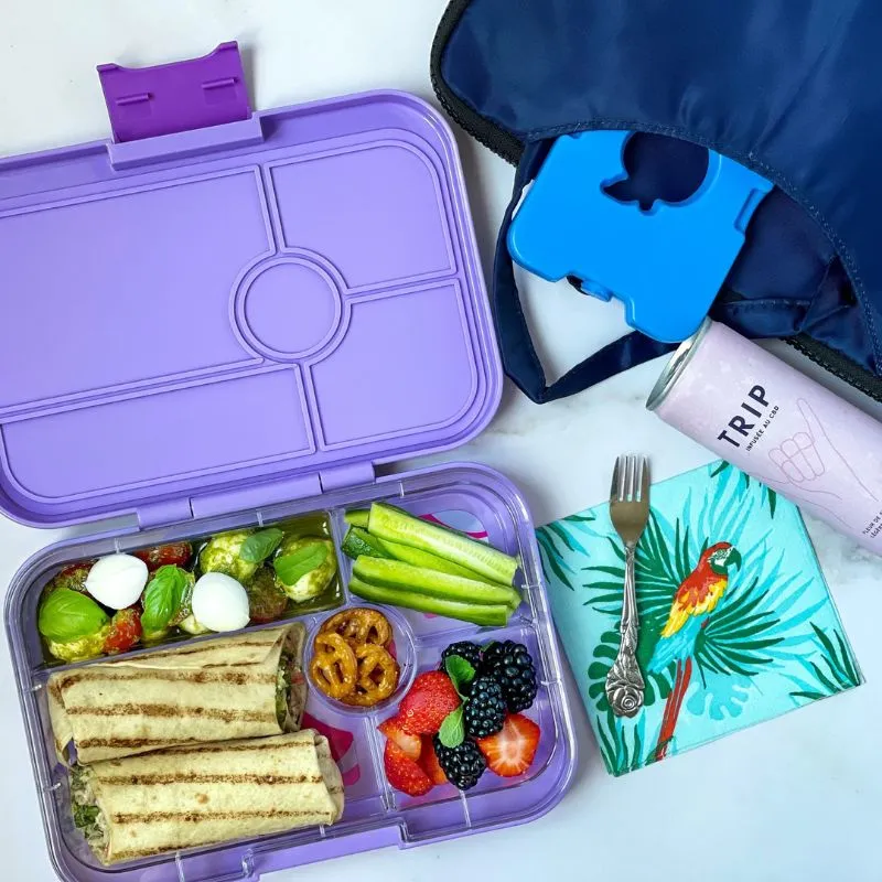 Tapas 5 Compartment Bento Lunch Box